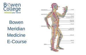 Bowen Meridian Medicine E-Course